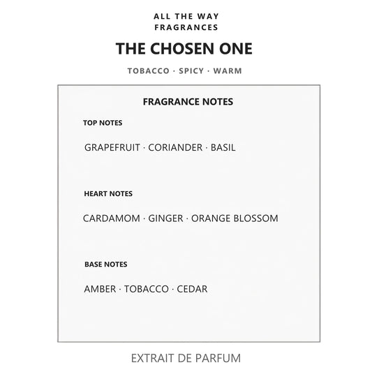 Νότες αρώματος The Chosen One – άρωμα τύπου The One for Men Dolce & Gabbana