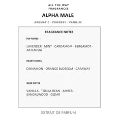 Νότες αρώματος Alpha Male – άρωμα τύπου Le Male Jean Paul Gaultier