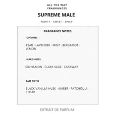 Νότες αρώματος Supreme Male – άρωμα τύπου Ultra Male Jean Paul Gaultier
