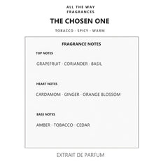 Νότες αρώματος The Chosen One – άρωμα τύπου The One for Men Dolce & Gabbana