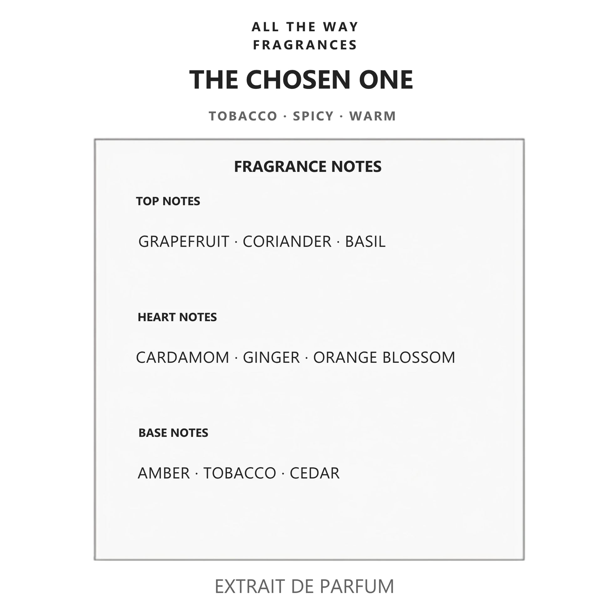 Νότες αρώματος The Chosen One – άρωμα τύπου The One for Men Dolce & Gabbana