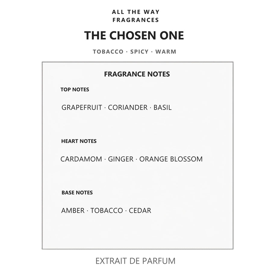 Νότες αρώματος The Chosen One – άρωμα τύπου The One for Men Dolce & Gabbana
