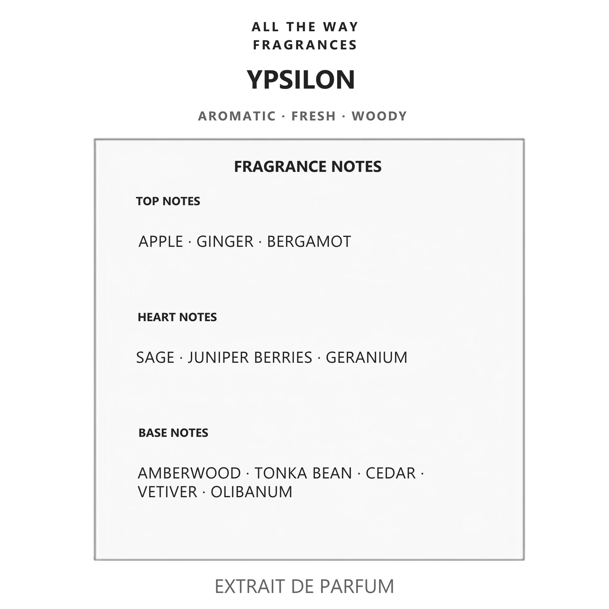 Νότες αρώματος Ypsilon – άρωμα τύπου Y Yves Saint Laurent
